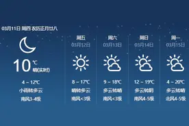 热闻区｜注意了！有女朋友的小伙子，济南周末拍照赏花看这里图片