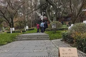 公园相亲角现场火爆：父母看重“门当户对”，子女看重“颜值”图片