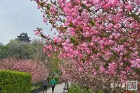 速看！事关武汉人未来一个月出行……｜早安武汉图片