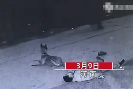 主人醉倒路边宠物狗忠心死守身旁！连声吼叫求救 路人却反被吓跑图片