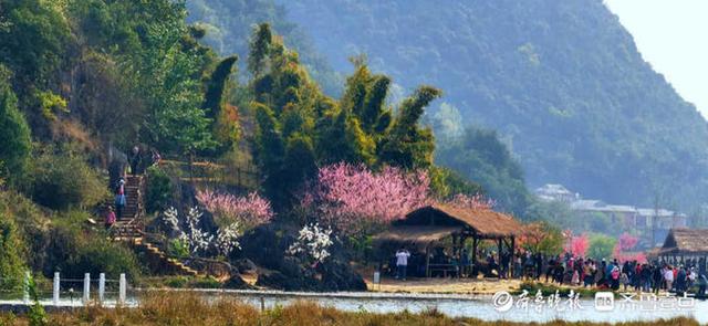 壹粉带你探访《三生三世十里桃花》拍摄地——云南普者黑