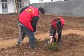 泰安肥城市安临站镇：春来植树添新绿 靓化安站绣美景视频封面
