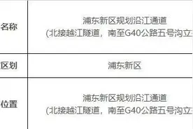 这片沿江通道拟征地约8.4万㎡！补偿安置方案看这里图片