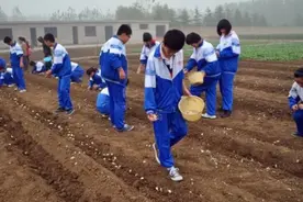 江苏：将劳动素养作为毕业升学的参考依据图片