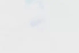 开局“十四五”企业新作为｜索菲亚张挺：紧跟市场动向 挖掘定制家居行业新潜力图片