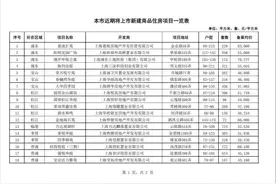 10044套！上海首次集中批量供应新房，优先购房者限售5年图片