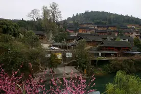 乌羊麻苗寨｜花开的季节图片