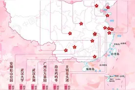 春来早！2021全国赏樱地图出炉 樱花全面提前绽放图片