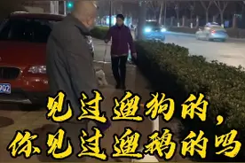 你见过遛鹅的吗？来围观济南大爷硬核遛鹅图片