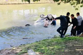 沪一驾校教练驾车坠河身亡！有多年从业经验图片