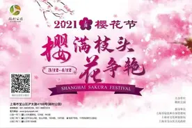 樱满枝头花争艳，2021上海樱花节在顾村公园开幕图片