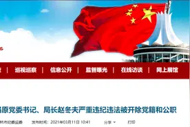 最新 | 广西3人被“双开”！一县长受贿750万元受审图片