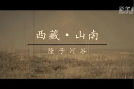 种沙棘的人视频封面