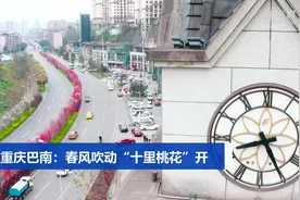 重庆巴南：春风吹动“十里桃花”开视频封面