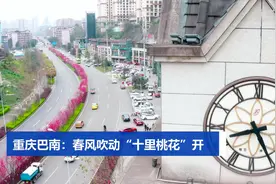 重庆巴南：春风吹动“十里桃花”开视频封面