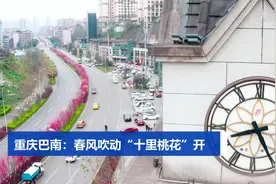 重庆巴南：春风吹动“十里桃花”开视频封面