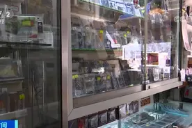 一张卡片，竟卖到1200万元？！曾经的赠品，撑起数十亿美元大市场图片