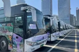 贵阳公交开通“看樱花”直通车图片
