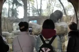 南京红山动物园游客增长：春节基本恢复到2019年同期视频封面