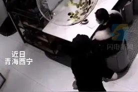 饭店地滑服务员一字马上菜 论打工人有多敬业图片