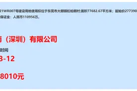 继续刷新记录！躁动的东莞还要怎样？图片