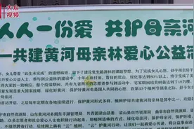 视频｜母亲河边的特殊植树节：种下一位母亲用“爱心”培育的树苗图片