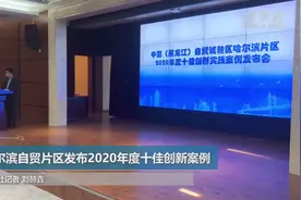 哈尔滨自贸片区发布2020年度十佳创新案例视频封面