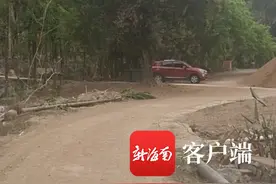 五指山南乐村建桥修路遇上老树 不砍不移“绕道走”图片