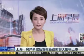 上海：房产新政后首批新盘即将大规模上市视频封面