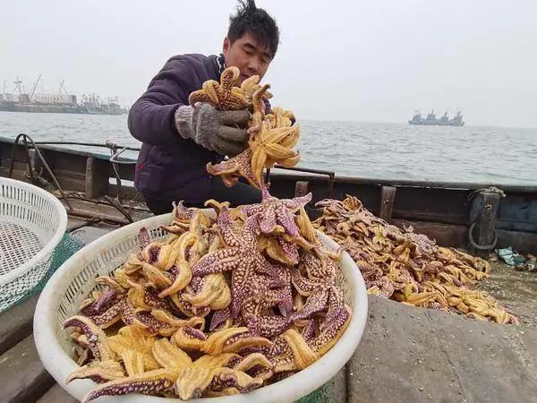 鎯婁汉锛侀潚宀涙捣杈规捣鏄熸硾婊ワ紒50鑹樿埞澶╁ぉ鎹曚篃鎹曚笉瀹屸€︹€﹀畼鏂瑰凡浠嬪叆