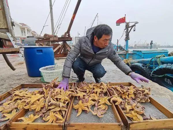 鎯婁汉锛侀潚宀涙捣杈规捣鏄熸硾婊ワ紒50鑹樿埞澶╁ぉ鎹曚篃鎹曚笉瀹屸€︹€﹀畼鏂瑰凡浠嬪叆