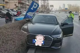 宁A牌照奥迪突然变道，逼得出租车一头冲进绿化带图片