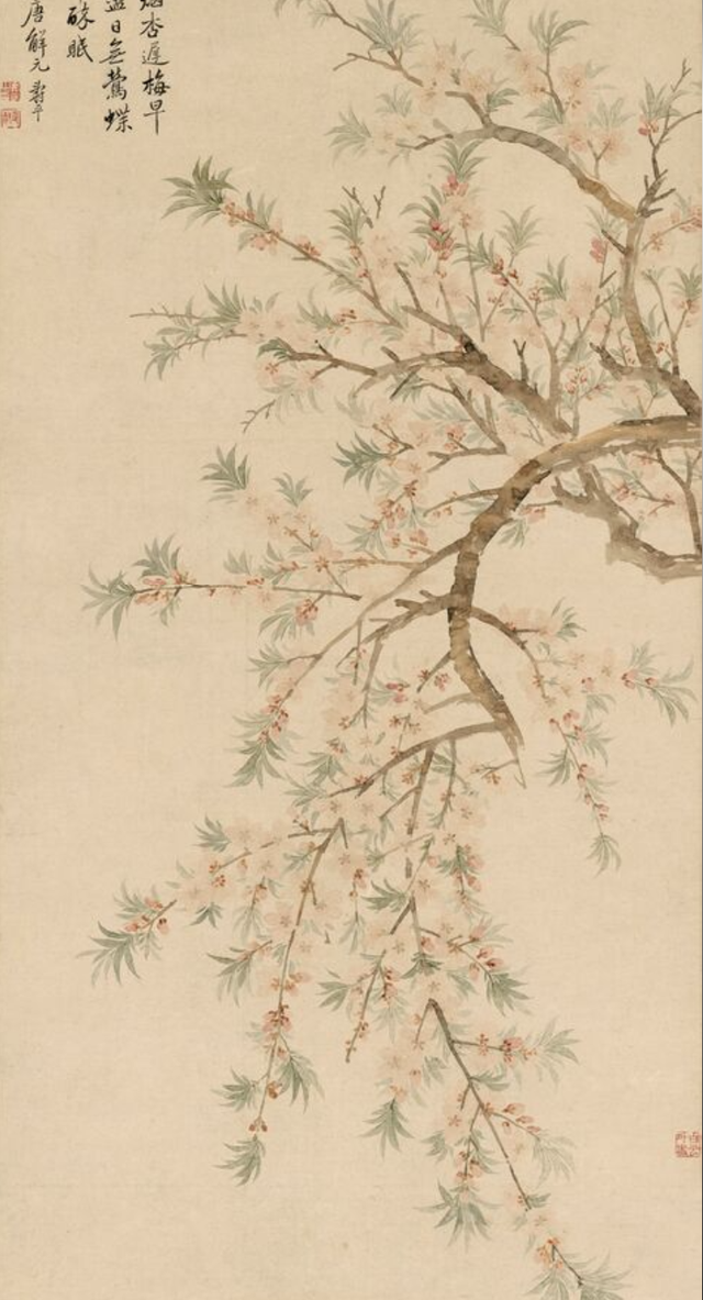 杜甫：我为花狂，只是怕花谢人老啊｜周末读诗