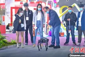 助力双循环 浙江义乌今年第一批37个展会陆续开展图片