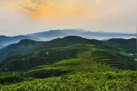 环保民生实事 | 驻马店：青山永在绿水长流 让生态优势无可替代图片