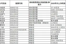 入股苏宁易购背后，深圳国资的谋篇布局之路图片