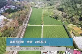 龙井茶园里“武装”起高科技视频封面