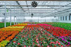 带动农户年收入90万！这个“科技”农业基地，还有体验式场景图片