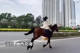 网传北海一女子在街头骑马？后续来了图片