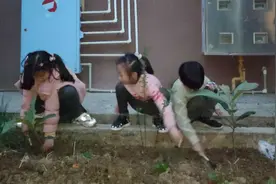 劳动创造美——德阳市青云山路小学校开展植树活动图片
