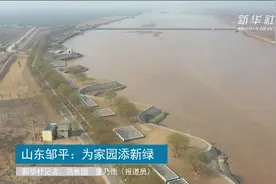 山东邹平：为家园添新绿视频封面