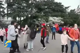 山东医疗队队员重返武汉 带着妈妈去赏樱图片