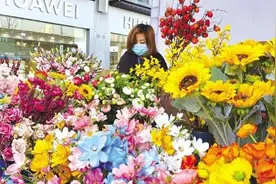 甘肃首届迎春花展 扮靓兰州黄河之滨图片