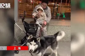 丈夫带宝宝和狗狗在地铁站接妻子下班，网友：慕了慕了图片