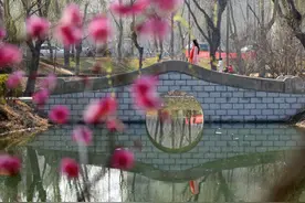 三月，花红柳绿醉游人图片