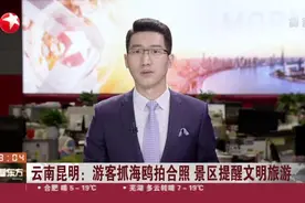 云南昆明：游客抓海鸥拍合照  景区提醒文明旅游视频封面