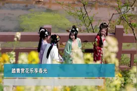 踏青赏花乐享春光视频封面