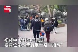 萌娃熊猫基地“被迫营业”，家长无情牵手一路拖行，笑喷游客图片
