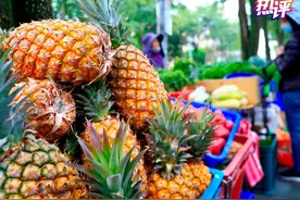 前有凤梨后有香蕉，台湾水果接连被拒绝非“个案”图片