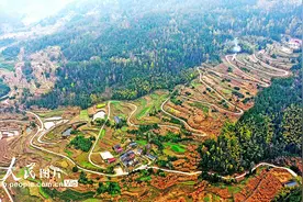 浙江仙居：山路弯弯 风景如画图片